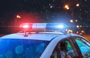 В Екатеринбурге и Воронеже задержаны руководители азербайджанских диаспор