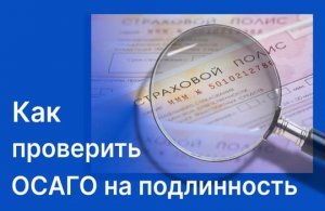 ОСАГО под лупой: что скрывается за полисом, без которого нельзя выехать