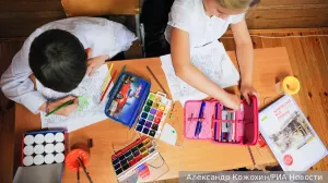 В Госдуме предложили отменить оценки по ряду предметов