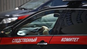 В Воронеже возбудили дело по информации об истязания детей