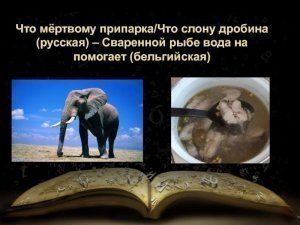 «Овёс для дохлой лошади». Киев и Запад создали иллюзию, задурив всем головы победой над Россией и поплатились за это. На самом деле рубеж уже пройден, а опосредованная война давно проиграна Украиной