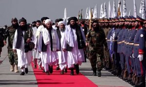 TNI: Признание Россией Исламского Эмирата Афганистан — прагматичный и верный шаг