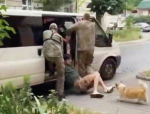 На Украине корги попыталась защитить хозяина от мобилизации
