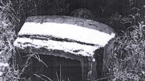 На Украине снесли последний памятник Ленину