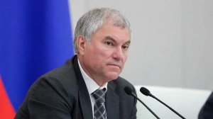 Володин: в России скоро могут ввести дифференцированную ставку семейной ипотеки