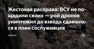 [Расправа] БПЛА ВСУ уничтожили сдавшихся в плен сослуживцев в Январском. Это произошло при попытке их эвакуации в тыл