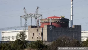 Украинские войска подожгли траву вокруг ЗАЭС