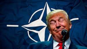 Трамп исключил принятие Украины в НАТО