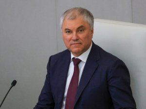 Володин заявил о сокращении числа допущенных к обучению в школах детей мигрантов