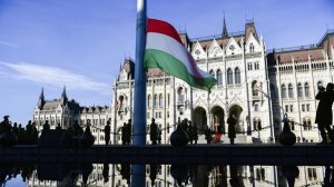 Эксперт оценил возможность Венгрии обрубить электричество Украине