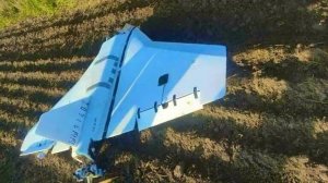 В Польше заявили о подозрительном совпадении перед инцидентом с дронами