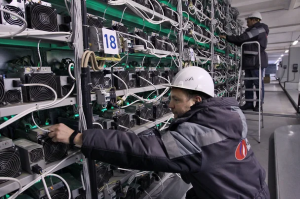 «Русал» превращает свободные земли в криптофермы