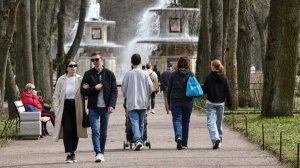 Россию назвали лидером по необычному показателю