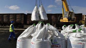 Индия увеличила импорт российских удобрений до двухлетнего максимума