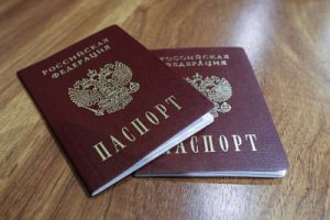Правительство поддержало лишение уклонистов приобретенного гражданства России