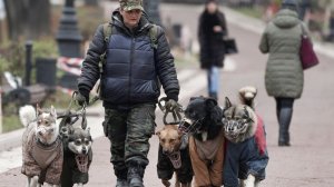 В Госдуму внесли проект об обязательной маркировке домашних животных