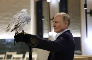 Владимир Путин подарил королю Бахрейна двух камчатских кречетов