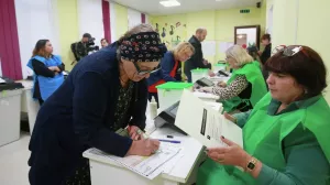 Правящая партия Грузии победила во всех муниципалитетах на местных выборах