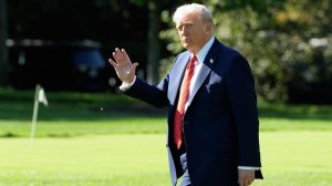 Трамп поблагодарил Путина после слов о его усилиях по решению кризисов