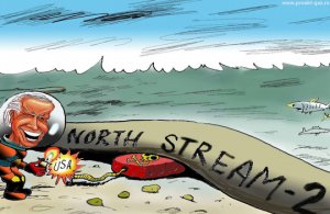 Унижение для Берлина, почему «союзники» открыто саботируют следствие по терактам