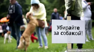 Депутаты Госдумы предложили обязать владельцев убирать за питомцами в подъездах