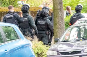 [заблоцкий в Тае] Навозные грибы, вейпы и марихуана. Россиянин открыл в Таиланде бизнес под прикрытием: полиция устроила облаву