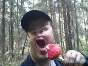 [заблоцкий в Тае] Инвест-коуч обдолбался грибами и устроил погром в Таиланде