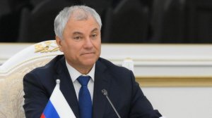 Володин предложил конфисковать имущество инициаторов воровства активов