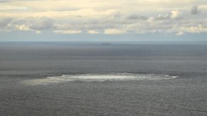 Апелляцию украинца Кузнецова рассмотрят в Италии 19 ноября, сообщил адвокат