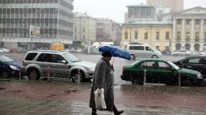 В Москве выпал первый снег.  С опозданием на месяц