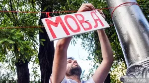 Львовский журналист пожаловался на русскоязычных котов