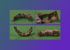 Независимая экспертиза останков Гитлера подтвердила его смерть в 1945 году