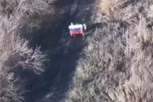 Сводка СВО, 20 ноября. Освобождено Весёлое, бои за Покровск — в кульминации