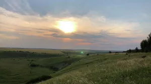 [«Русское поле»] Наш ответ ВОЗ. Ученые заявили о пользе русской природы в борьбе с неврозами