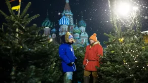 Только 13% россиян в этом году украсят дом живой елкой