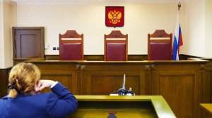 В Верховный суд поступила жалоба на приговор по делу о квартире Долиной