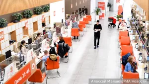 Минцифры предложило приравнять права и СТС из «Госуслуг» к бумажным аналогам