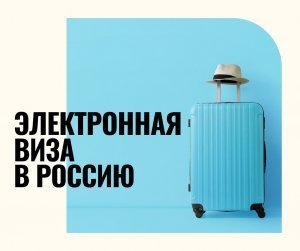 Россия ввела единые электронные визы для граждан 64 стран