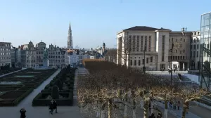 [Неместные] Статистика подтвердила слова Маска о населении Брюсселя: там проживают 78% жителей небельгийского происхождения, доля снижается с возрастом, демографические сдвиги закрепились, нарастая