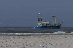 Россия открыла двери своим рыбакам в атлантические воды Марокко