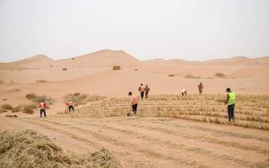 Межрегиональная группа «Центральная Азия – Россия» бросает вызов опустыниванию