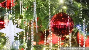 Американский профессор рассказал, почему любит русский Новый год