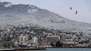 Переехавший в Крым американский режиссер будет просить о гражданстве России