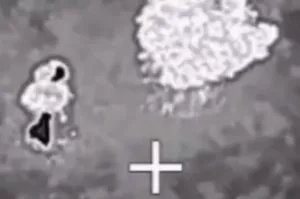 Расплата для пиратов: в Черном море нашли и уничтожили водолазов-убийц ВСУ