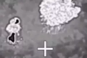 Точно попали в тайный штаб НАТО: в Николаеве сорвана встреча советников