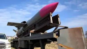 Эксперт: ракеты «Фламинго» не поразили ни одной цели в РФ, но уничтожили расчеты ВСУ