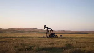 Глава Минфина США: Жители Альберты хотят провести референдум о выходе из Канады