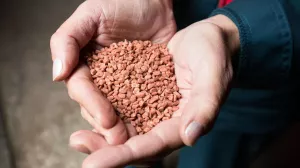 ЕС за четыре года так и не нашел альтернативу российским удобрениям