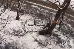 Подразделение ФСБ уничтожило диверсантов ВСУ на окраине Димитрова в ДНР