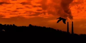 Bloomberg: к 2050 году миру грозит голод. Катастрофа неизбежна: тревожный прогноз на ближайшее будущее. Тройная угроза мировой продовольственной безопасности.